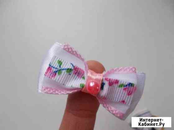 Бантики для йорков Волгоград