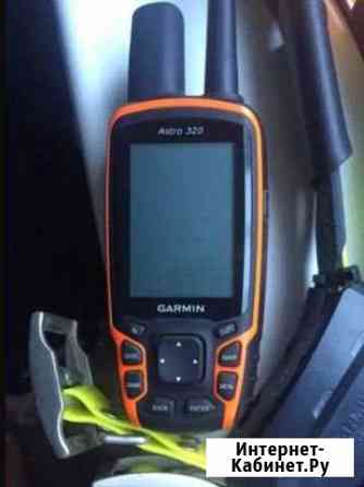 Garmin Astro 320 Домодедово