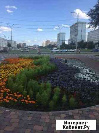 Продам свеклу свежий урожай Кемерово