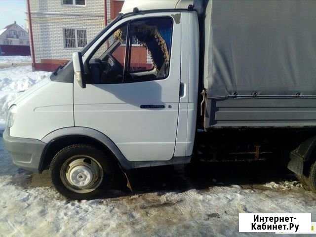 Газель Акуша - изображение 1