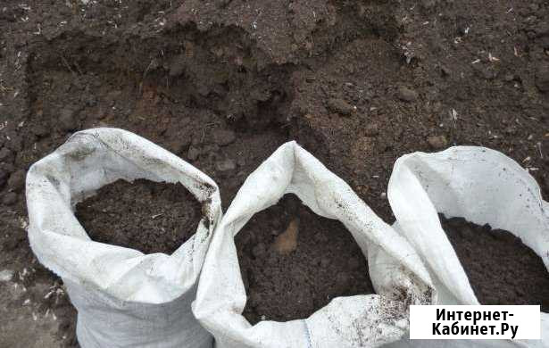 Перегной, назем с доставкой Калининград - изображение 1