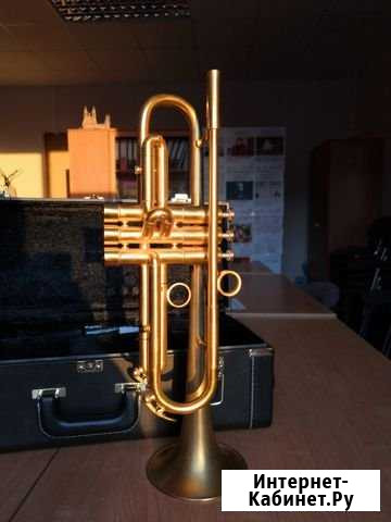 Труба/Trumpet Hub Van Laar Oiram Курск - изображение 1
