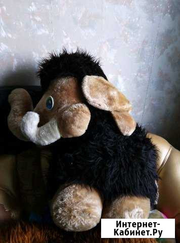 Слон Чита - изображение 1