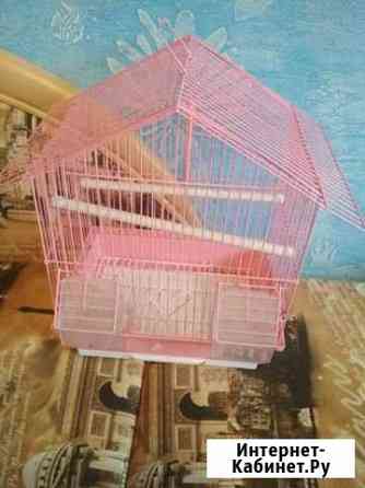 Клетка Кострома