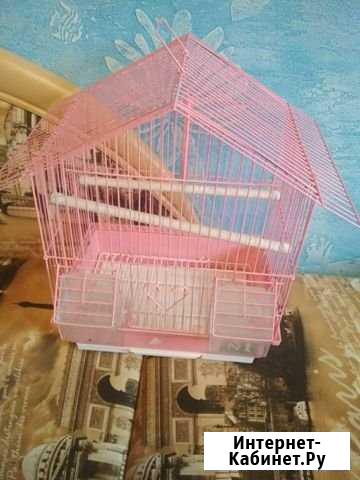 Клетка Кострома - изображение 1