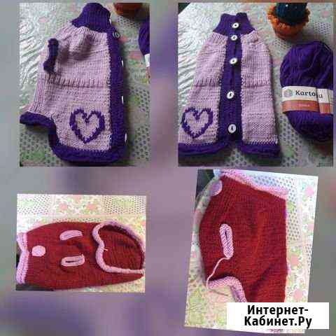 Кофточки на питомца Мурманск