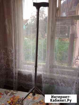 Трость Кострома