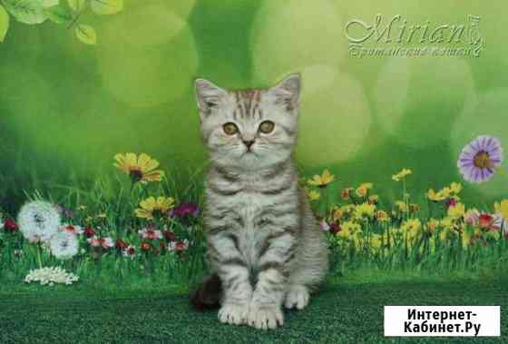 Мальчик с документами Ульяновск