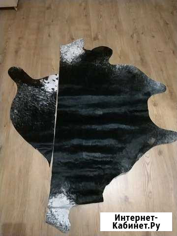 Шкура Краснодар - изображение 1