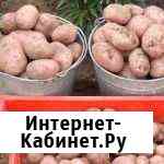 Картофель Екатеринбург