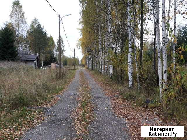Участок 19.5 сот. (ИЖС) Всеволожск - изображение 1