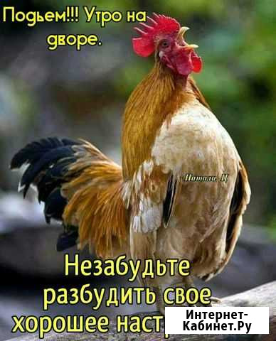 Комбикорма Мокшан - изображение 1