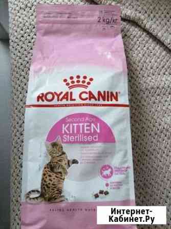 Корм для котят Royal Canin 2 кг Никольское