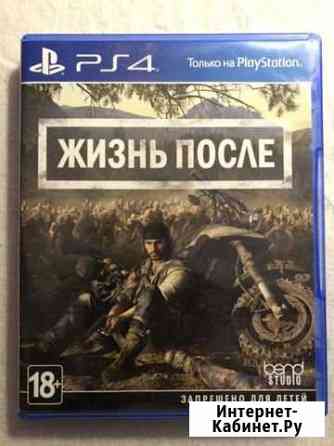 Days gone Большой Камень