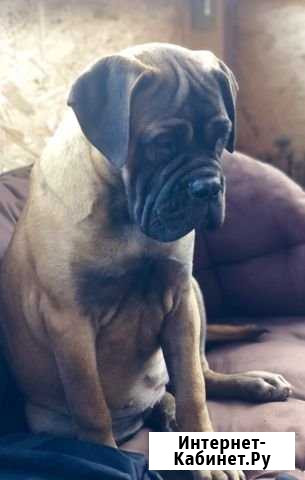 Девочка Москва - изображение 1