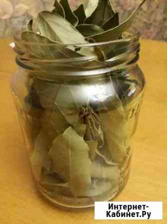 Душистый лавр из Абхазии Волгоград