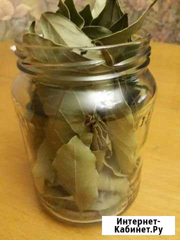 Душистый лавр из Абхазии Волгоград - изображение 1