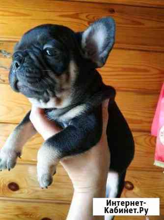 Иван Грозный Москва