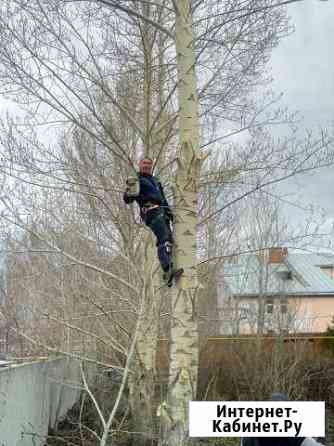 Кронирование и спил деревьев Омск