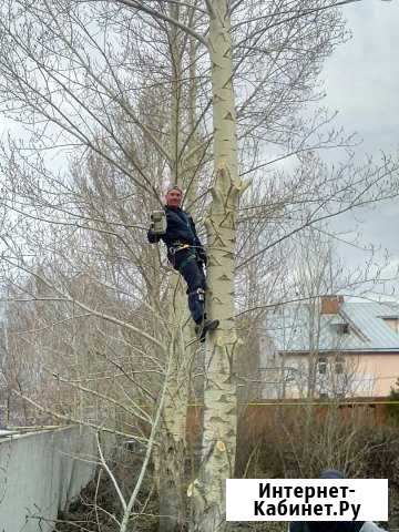 Кронирование и спил деревьев Омск - изображение 1