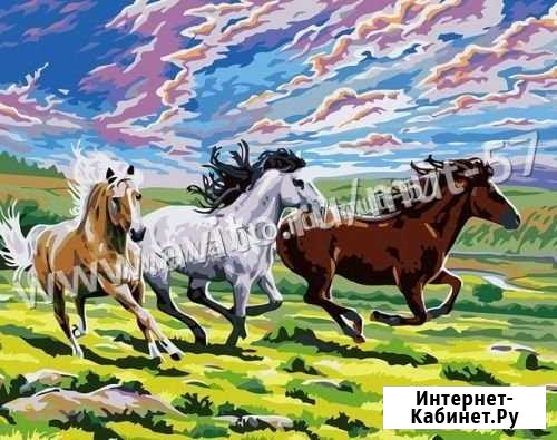 Картина по номерам, 40х50 см, арт 205 Орёл - изображение 1