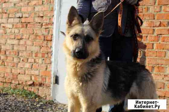 Керри ищет дом Тула