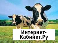 Продаю коровье молоко Серебряные Пруды - изображение 1