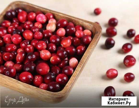 Клюква свежая Калуга - изображение 1