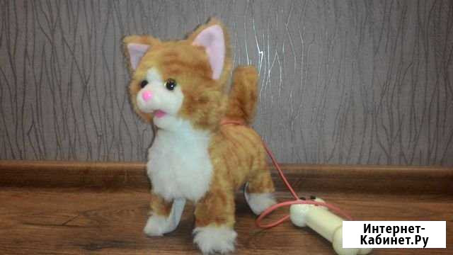 Котик Ирбит - изображение 1