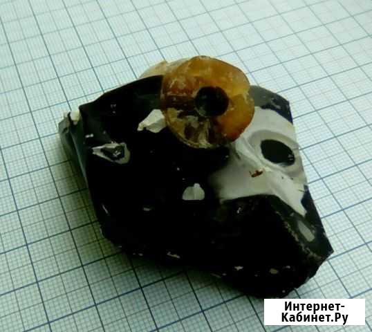 Ростр белемнита в кремне Волоконовка - изображение 1