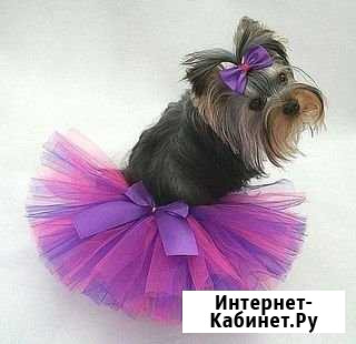 Юбочки пачки для собачек мелких пород Анапа - изображение 1