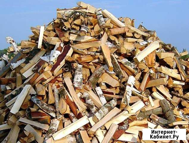 Дрова берёза осина ольха колотые, не колотые Вологда - изображение 1