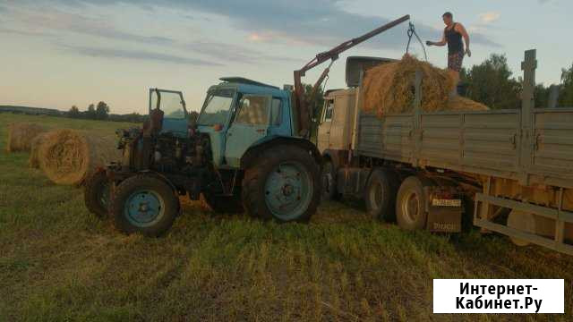 Сено Люцерна в рулонах 350-400кг Субханкулово - изображение 1