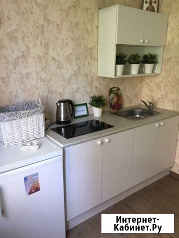 1-к квартира, 45 кв.м., 1/9 эт. Ногинск - изображение 1