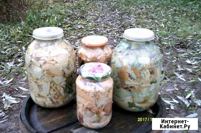 Грибы солёные Максатиха - изображение 1