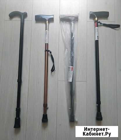 Трость Пенза - изображение 1