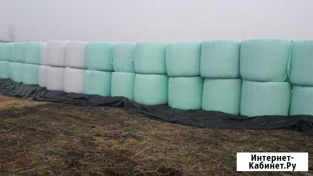 Солома,зеленка, овес, дробленка Свирск - изображение 1