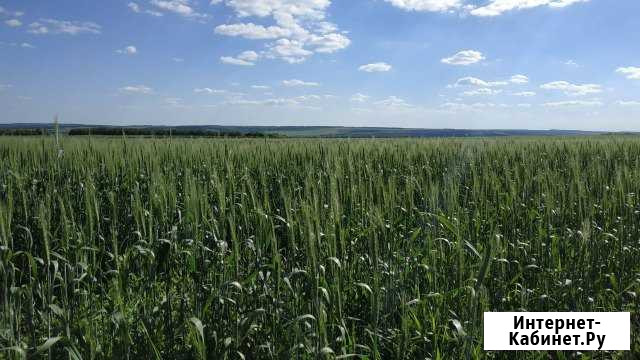 Готовое ооо, усн 15 Волгоград - изображение 1
