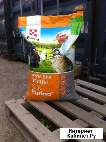 Комбикорм Purina Стартер для яичной птицы Чехов - изображение 1