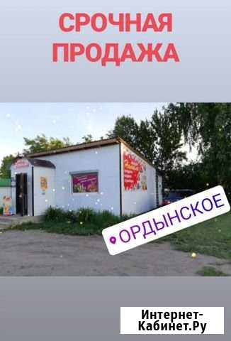 Магазин. Ордынское. Готовый бизнес Ордынское - изображение 1
