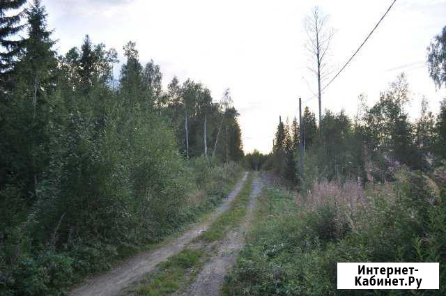 Участок 15 сот. (СНТ, ДНП) Петрозаводск - изображение 1