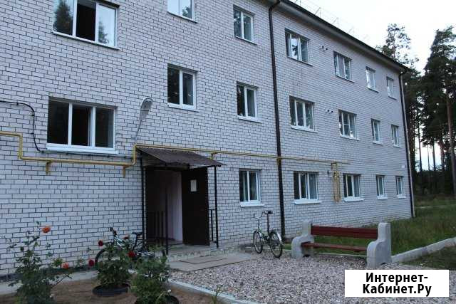 2-к квартира, 46.1 кв.м., 1/3 эт. Пено - изображение 1