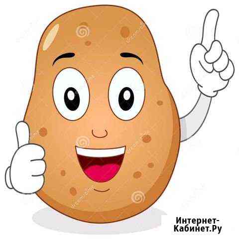 Картофель Челябинск