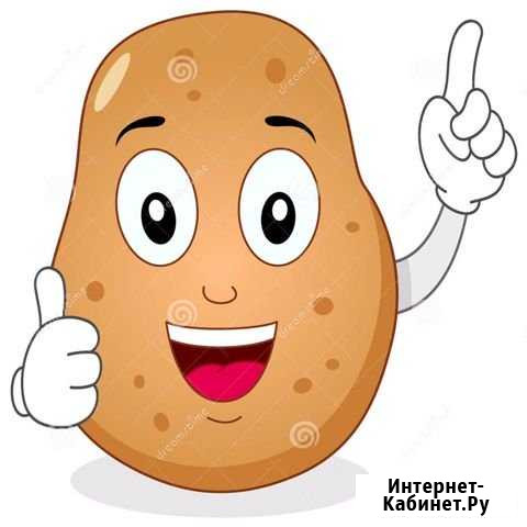 Картофель Челябинск - изображение 1