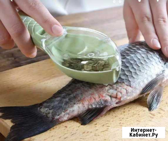 Скребок для чистки рыбы Тазовский - изображение 1