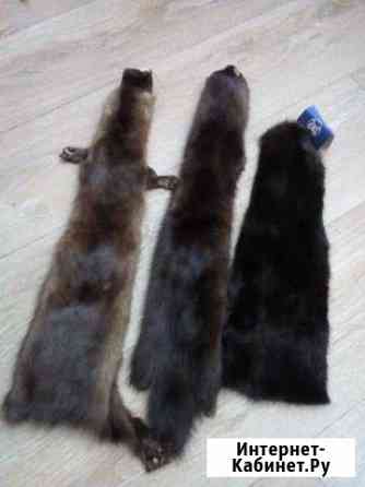 Шкурка норки Волгоград