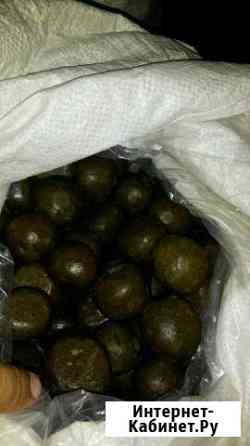 Продам прополис Бийск