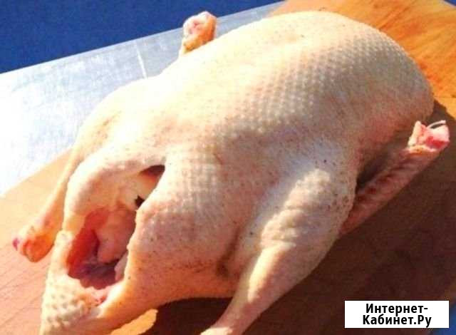 Гусь деревенский тушка охлажденный Руза - изображение 1