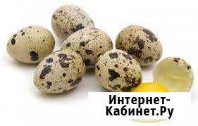 Перепелиные яйца домашние Белая Калитва - изображение 1