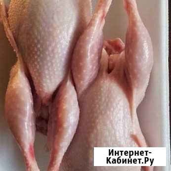 Мясо перепелиное Чегем - изображение 1